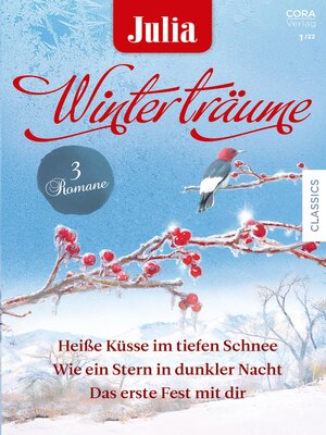 cover image of Julia Winterträume Band 17